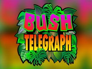 Bush Telegraph